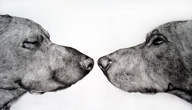 detail of Siblings