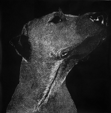 Jaako