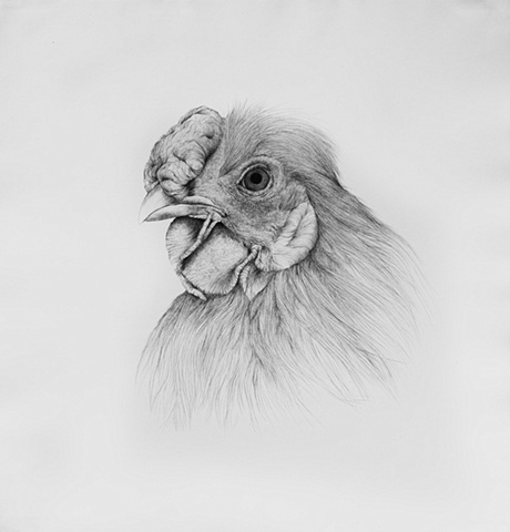 Daddy Hen