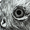 detail of Vulture