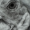 detail of Daddy Hen