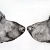 detail of Siblings