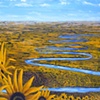 Winding River Thru Sunflowers
