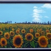 Field of Sunflowers