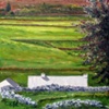 Boyle Cottage - Donegal Ireland