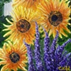 Sunflowers 