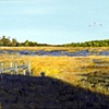 Wellfleet, Cape Cod