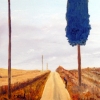 Tall Cypress Tree in Tuscany