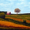 Red Barn in Meadow