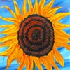 Single Sunflower