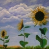 Parade of the Sunflowers