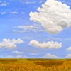 Playful Clouds