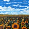 Field of Sunflowers