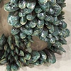 Green mussels, detail
