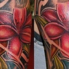 In Progress