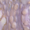 "A Purple Ravelling"