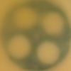 "Ghost Image"