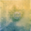 untitled (Terry's)