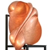 Seated Epidermal Plane VI