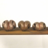 EVOLUTION OF A MEMBRANE