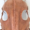 SKULL II