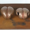 EVOLUTION OF A MEMBRANE