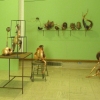 MUSEUM INSTALLATION 3