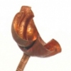 HEAD