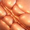 Epidermal Plane V    Reverse