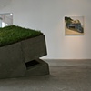 Reclamation installation at Patricia Sweetow Gallery, 2010