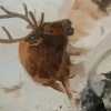 The Last to Know is the First to Go (detail)