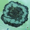 What's Above is Below Us