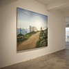 Reclamation installation at Patricia Sweetow Gallery, 2010