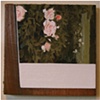 Detail (flower garden)