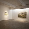 Reclamation installation at Patricia Sweetow Gallery, 2010
