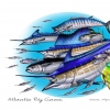 Atlantic Big Game (JC Penney)