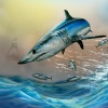 Overshot