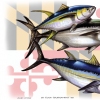 Ocean City Tuna