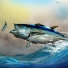 Blue Fury