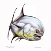 Pompano