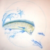 Tobiuo