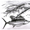 Floater