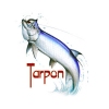 tarpon 1