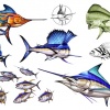 Fish Flash 3