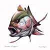 Mutton Snapper