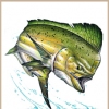 Combat sportfishing