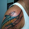 Blue Marlin in progress