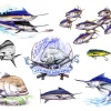 Fish Flash 4