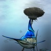 Blues Buoy