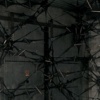 Lara Schnitgers: Nightfliers
